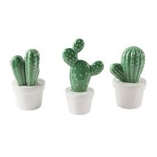 Cactus Serax 3 soorten H14cm - Tuincentrum Daniëls